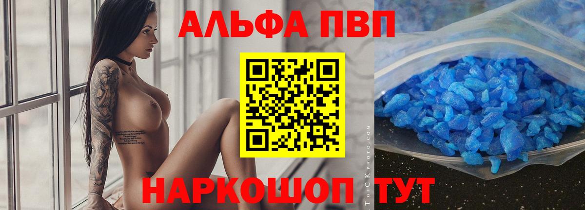 A PVP СК КРИС Алейск