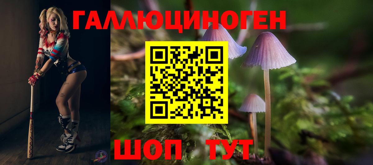 Псилоцибиновые грибы ЛСД Алейск